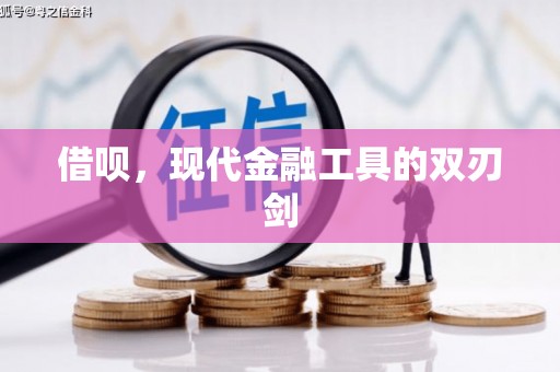 成县借呗，现代金融工具的双刃剑