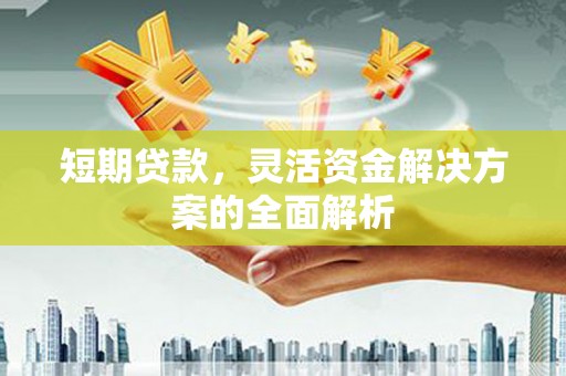 成县短期贷款，灵活资金解决方案的全面解析