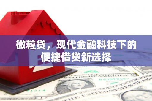 成县微粒贷，现代金融科技下的便捷借贷新选择