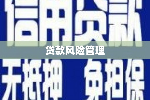 成县贷款风险管理