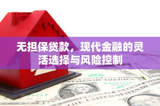 成县无担保贷款，现代金融的灵活选择与风险控制