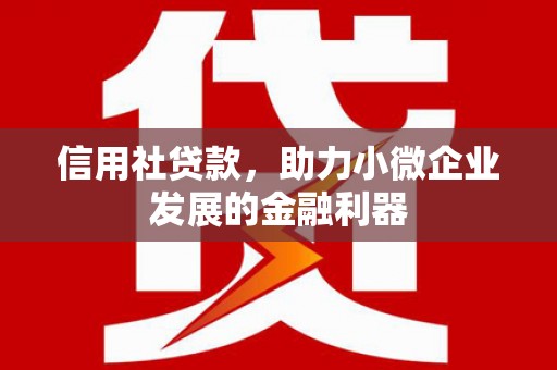 成县信用社贷款，助力小微企业发展的金融利器