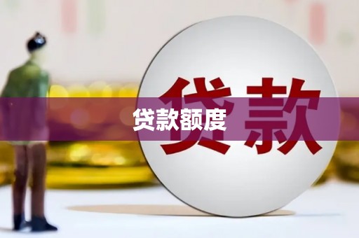 成县贷款额度