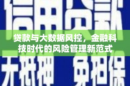 成县贷款与大数据风控，金融科技时代的风险管理新范式