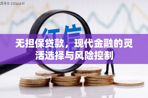 成县无担保贷款，现代金融的灵活选择与风险控制