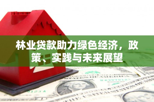 成县林业贷款助力绿色经济，政策、实践与未来展望