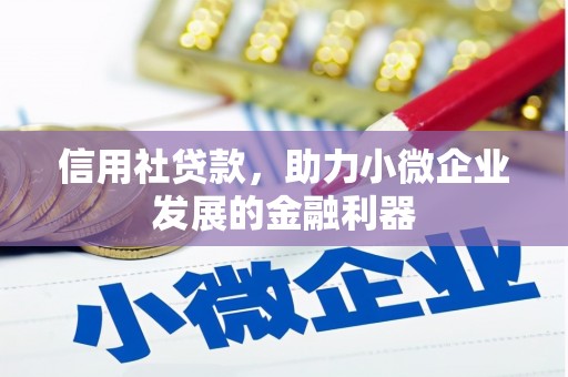 成县信用社贷款，助力小微企业发展的金融利器