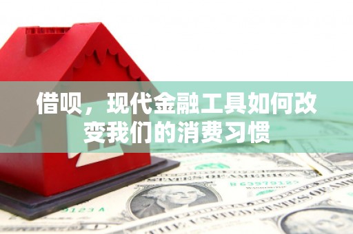 成县借呗，现代金融工具如何改变我们的消费习惯
