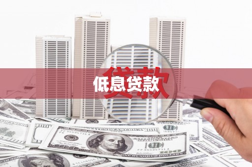 成县低息贷款