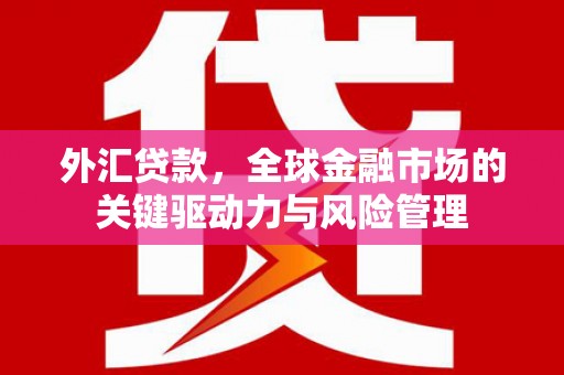 成县外汇贷款，全球金融市场的关键驱动力与风险管理