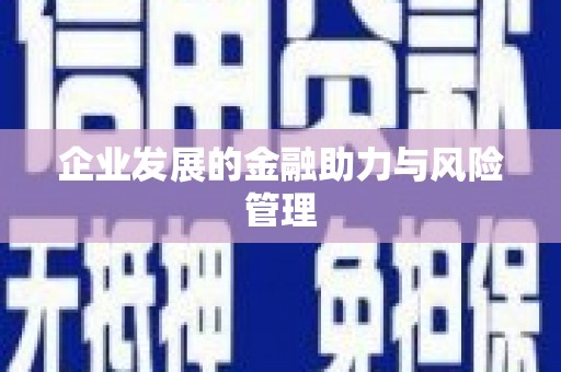 成县企业发展的金融助力与风险管理