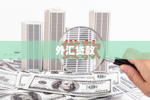 成县外汇贷款