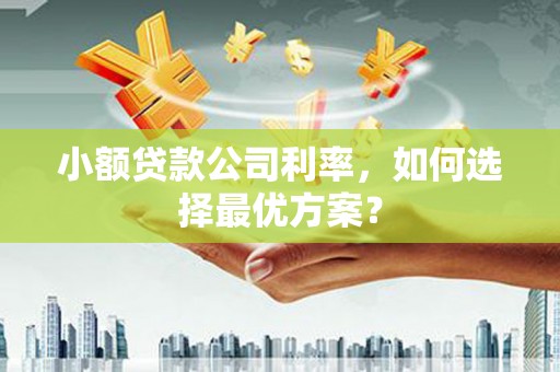成县小额贷款公司利率，如何选择最优方案？