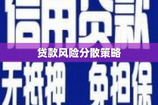 成县贷款风险分散策略
