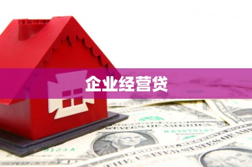成县企业经营贷