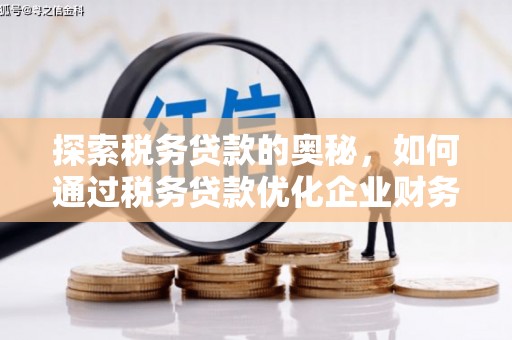 成县探索税务贷款的奥秘，如何通过税务贷款优化企业财务