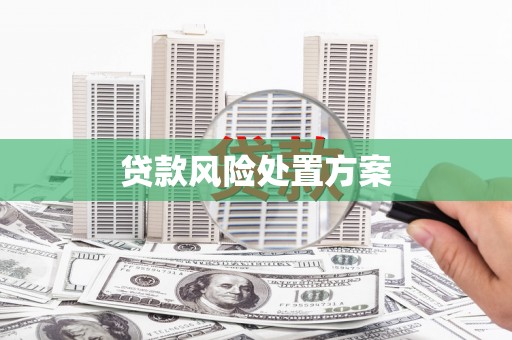成县贷款风险处置方案