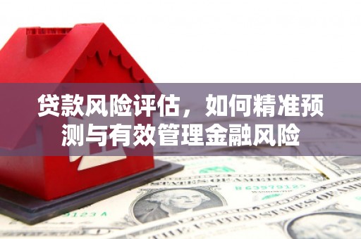 成县贷款风险评估，如何精准预测与有效管理金融风险