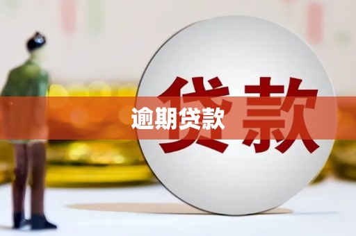 成县逾期贷款