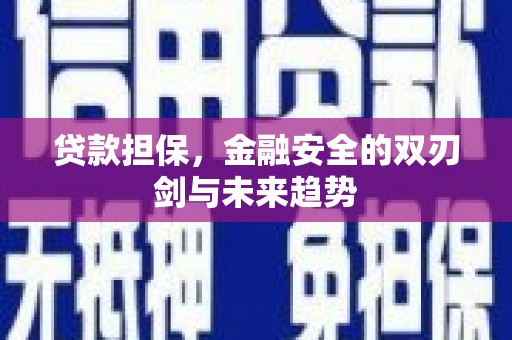 成县贷款担保，金融安全的双刃剑与未来趋势