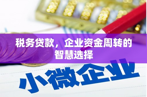 成县税务贷款，企业资金周转的智慧选择