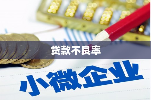 成县贷款不良率