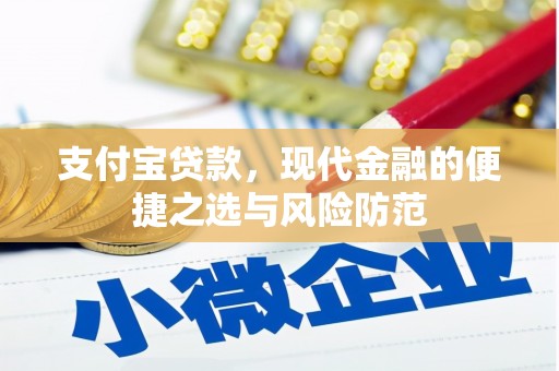 成县支付宝贷款，现代金融的便捷之选与风险防范