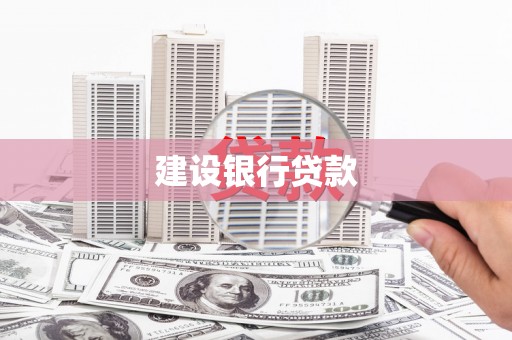 成县建设银行贷款