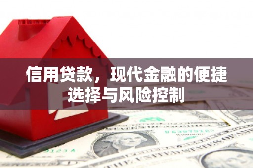 成县信用贷款，现代金融的便捷选择与风险控制