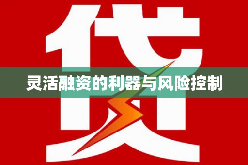 成县灵活融资的利器与风险控制