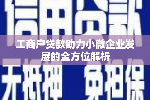 成县工商户贷款助力小微企业发展的全方位解析