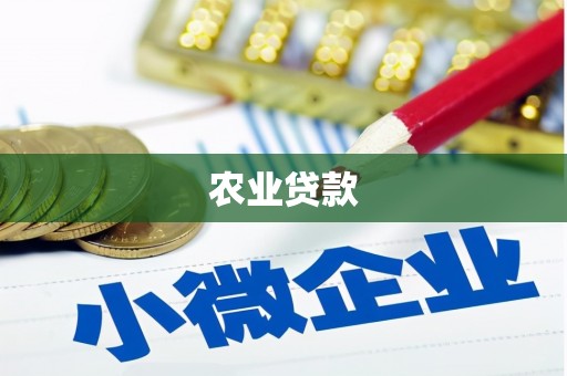 成县农业贷款