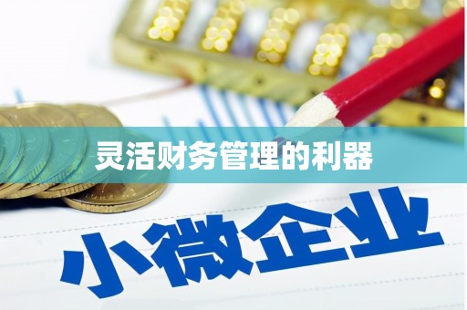 成县灵活财务管理的利器
