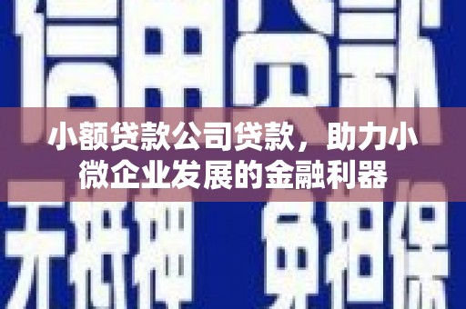 成县小额贷款公司贷款，助力小微企业发展的金融利器