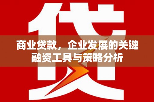成县商业贷款，企业发展的关键融资工具与策略分析