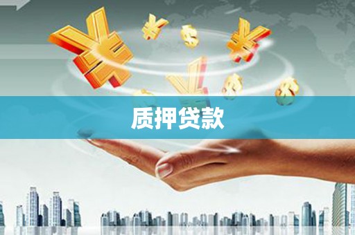 成县质押贷款