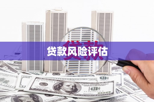 成县贷款风险评估
