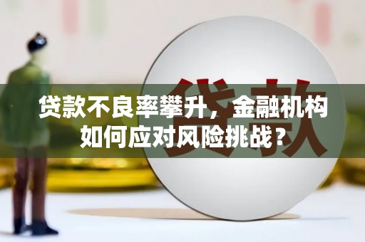 成县贷款不良率攀升，金融机构如何应对风险挑战？