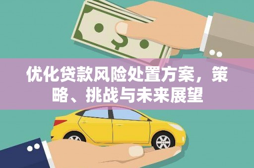 成县优化贷款风险处置方案，策略、挑战与未来展望