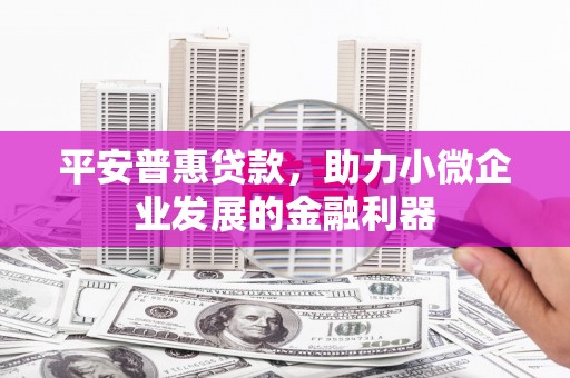 成县平安普惠贷款，助力小微企业发展的金融利器