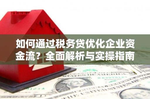 成县如何通过税务贷优化企业资金流？全面解析与实操指南