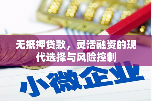 成县无抵押贷款，灵活融资的现代选择与风险控制