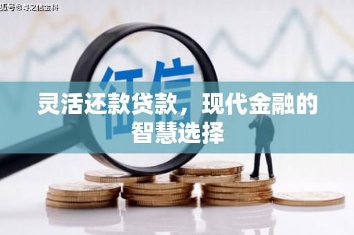 成县灵活还款贷款，现代金融的智慧选择