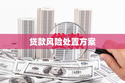 成县贷款风险处置方案