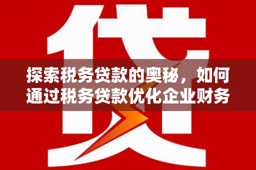 成县探索税务贷款的奥秘，如何通过税务贷款优化企业财务