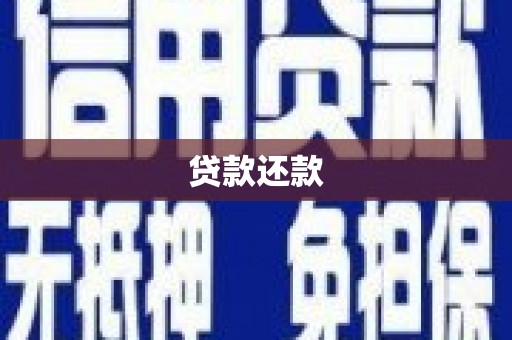 成县贷款还款