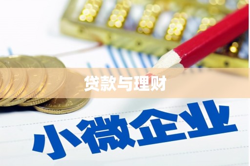 成县贷款与理财