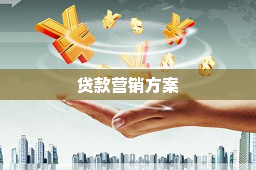 成县贷款营销方案