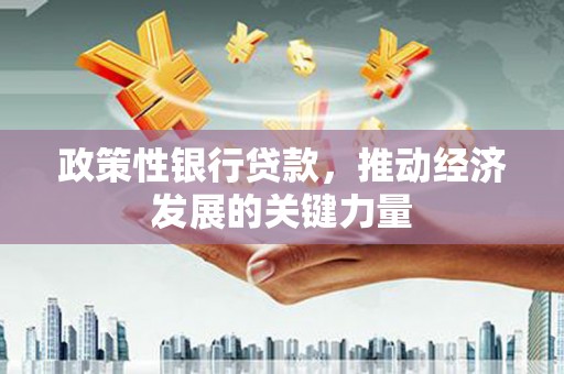 成县政策性银行贷款，推动经济发展的关键力量