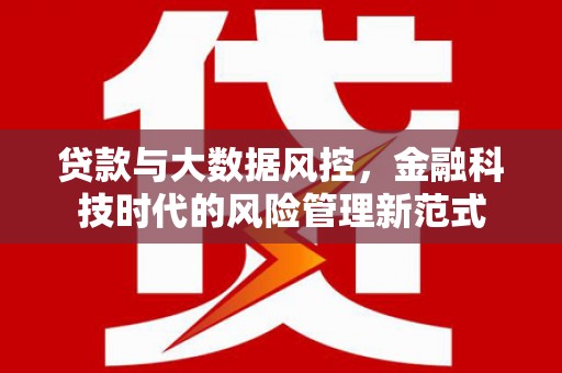 成县贷款与大数据风控，金融科技时代的风险管理新范式